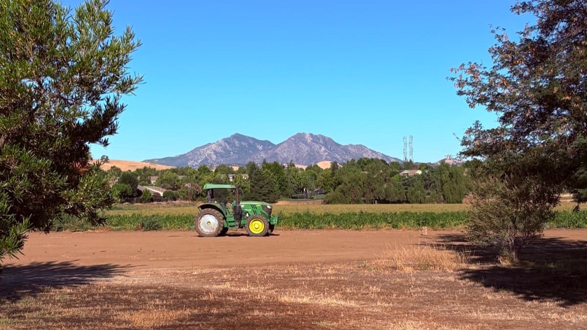 A green tractor in a Brentwood field with Mount Diablo behind it on a clear day.