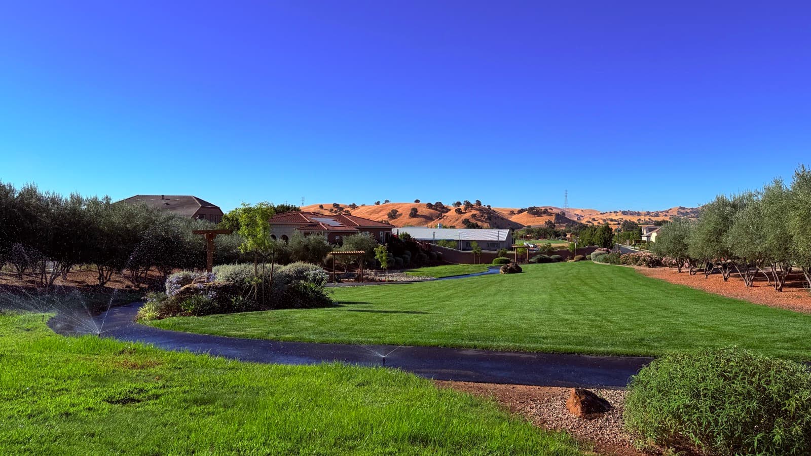 A green lawn and walking path in Trilogy at the Vineyards with the golden Brentwood hills behind.
