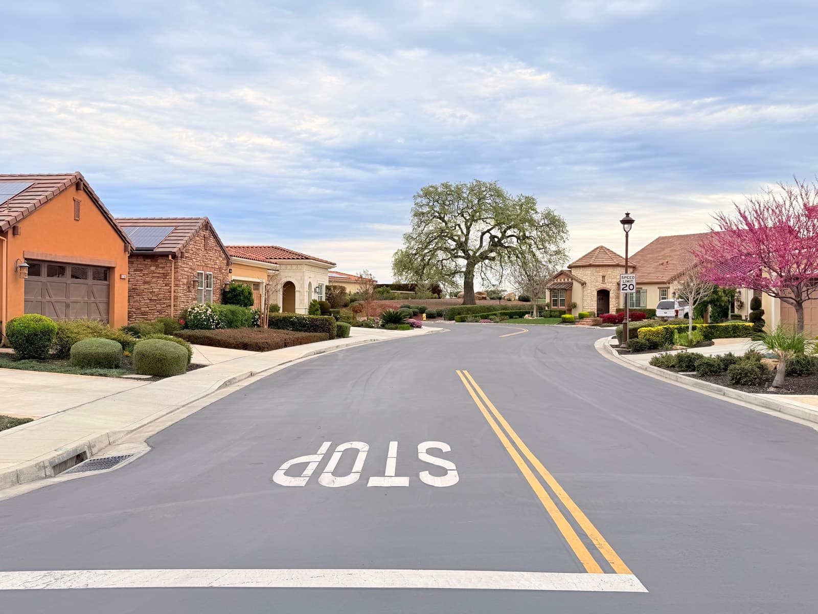 A quiet residential street lined with single-story homes and mature trees.