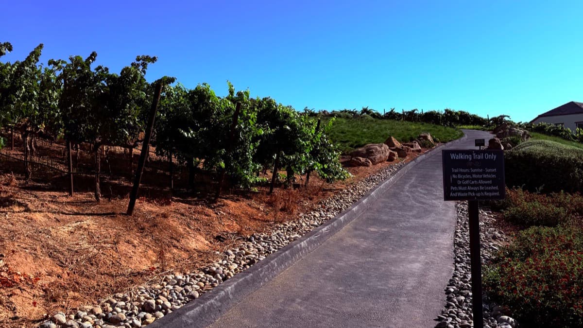 A paved walking trail running beside rows of grapevines in Trilogy at the Vineyards.